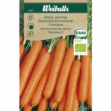 Gulrot, sommer økologisk - Nantaise 2